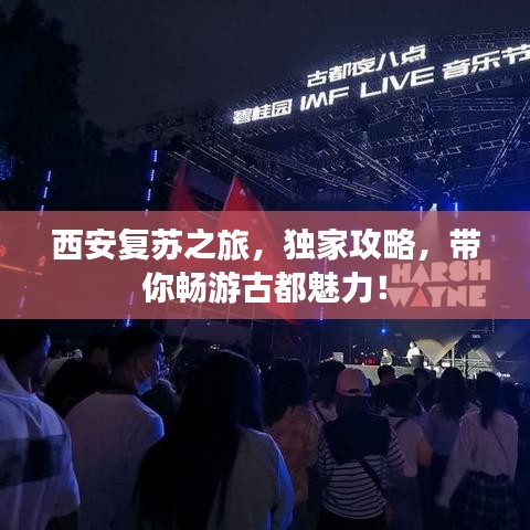西安复苏之旅，独家攻略，带你畅游古都魅力！