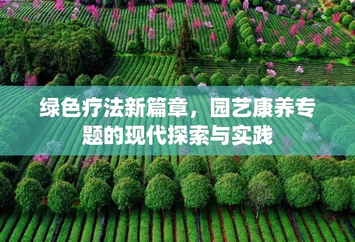 绿色疗法新篇章，园艺康养专题的现代探索与实践
