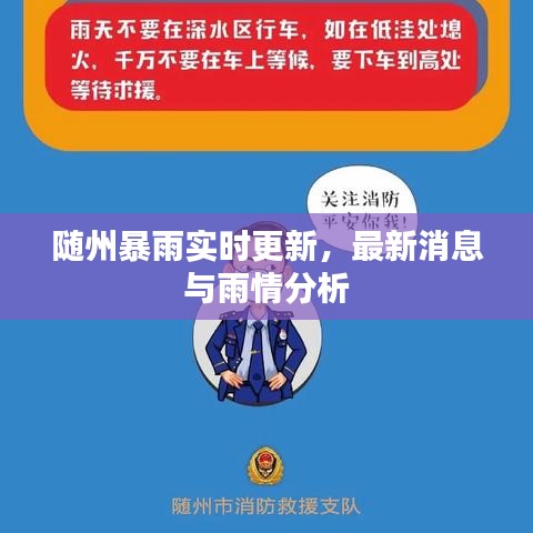 随州暴雨实时更新，最新消息与雨情分析