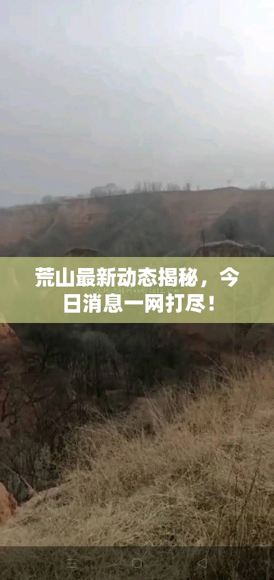 荒山最新动态揭秘，今日消息一网打尽！