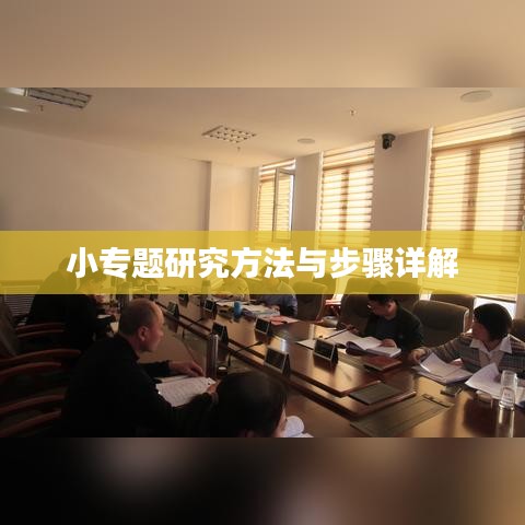 小专题研究方法与步骤详解