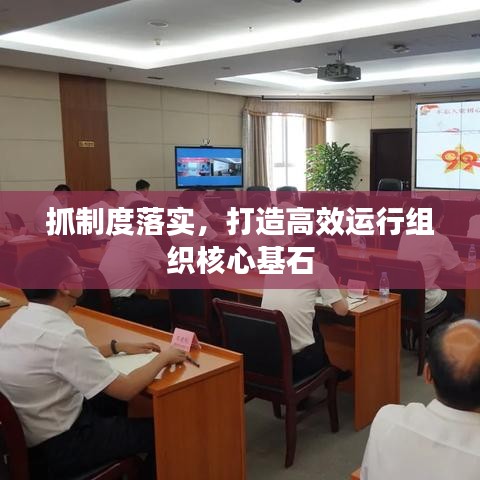 抓制度落实，打造高效运行组织核心基石