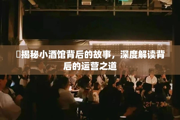 ​揭秘小酒馆背后的故事，深度解读背后的运营之道