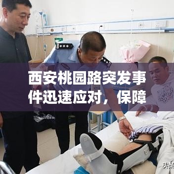 西安桃园路突发事件迅速应对，保障城市安全，高效处置显担当