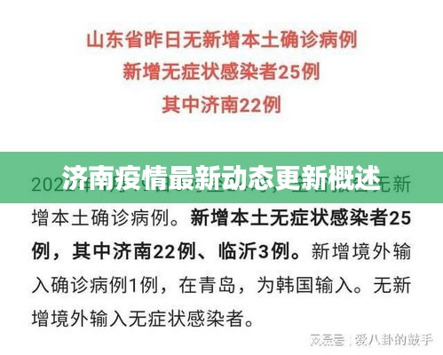 济南疫情最新动态更新概述