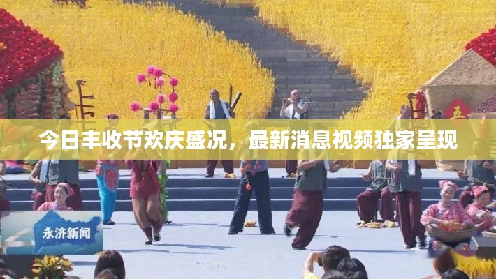 今日丰收节欢庆盛况，最新消息视频独家呈现