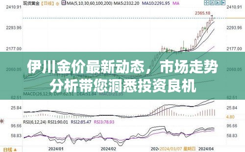 伊川金价最新动态，市场走势分析带您洞悉投资良机
