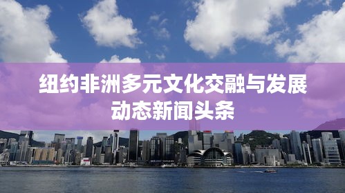 纽约非洲多元文化交融与发展动态新闻头条