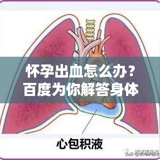 怀孕出血怎么办？百度为你解答身体状况疑虑！