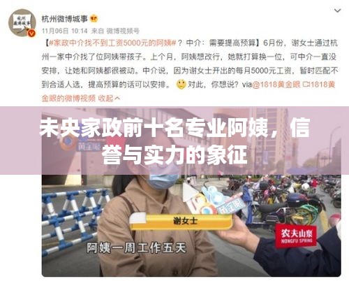 未央家政前十名专业阿姨，信誉与实力的象征