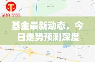 基金最新动态，今日走势预测深度解析