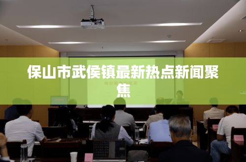 保山市武侯镇最新热点新闻聚焦