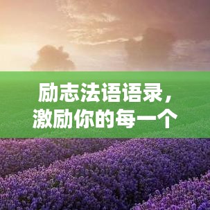 励志法语语录，激励你的每一个瞬间