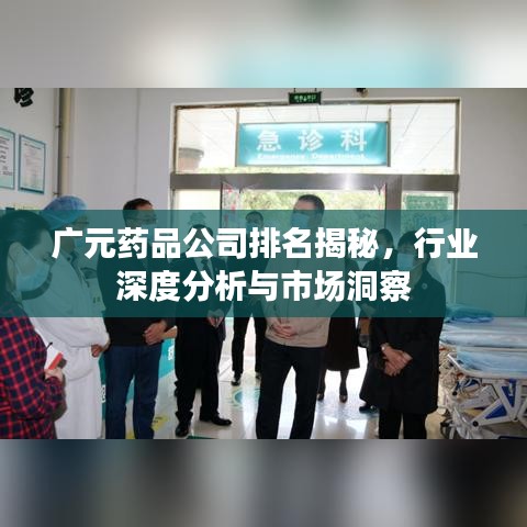 广元药品公司排名揭秘，行业深度分析与市场洞察