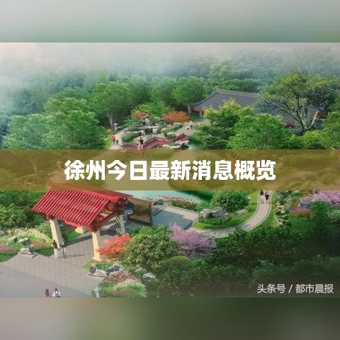 徐州今日最新消息概览