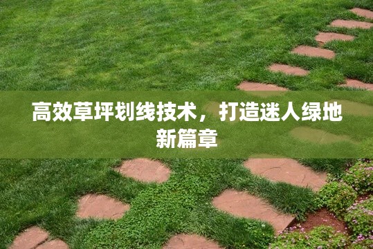 高效草坪划线技术，打造迷人绿地新篇章