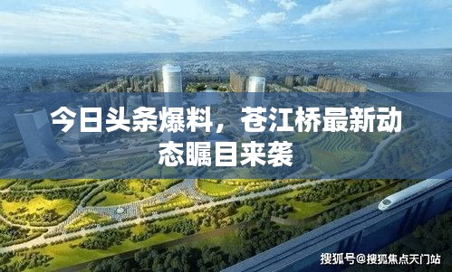 今日头条爆料，苍江桥最新动态瞩目来袭