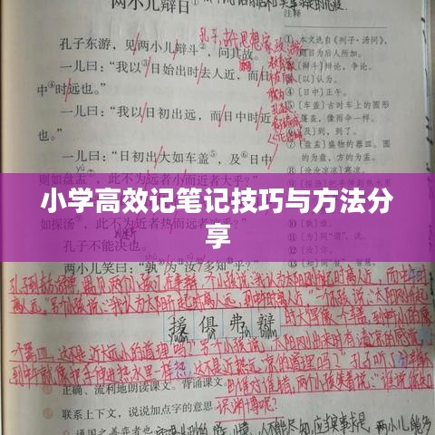 小学高效记笔记技巧与方法分享