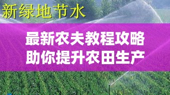 最新农夫教程攻略助你提升农田生产力，轻松成为农业大师！
