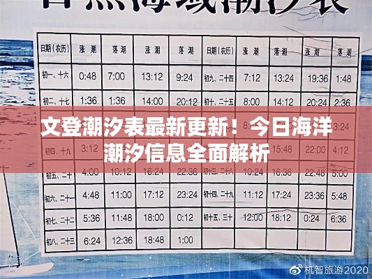文登潮汐表最新更新！今日海洋潮汐信息全面解析