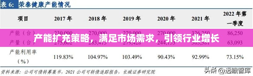 产能扩充策略，满足市场需求，引领行业增长