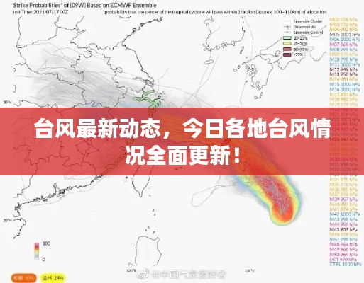 台风最新动态，今日各地台风情况全面更新！
