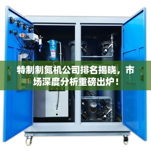 特制制氮机公司排名揭晓，市场深度分析重磅出炉！