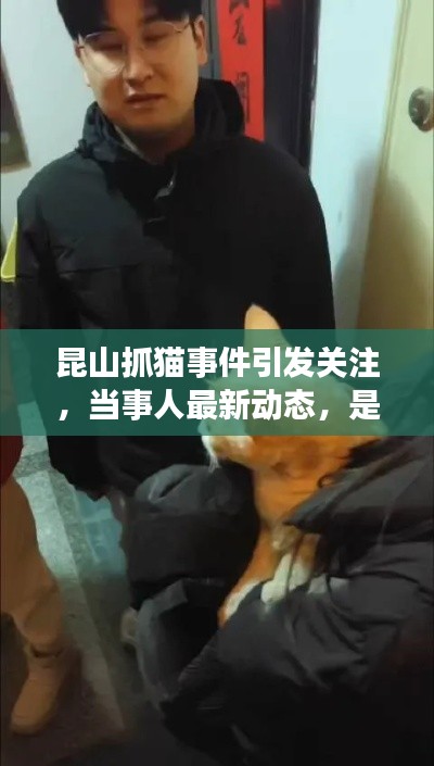 昆山抓猫事件引发关注，当事人最新动态，是否拘留成焦点热议