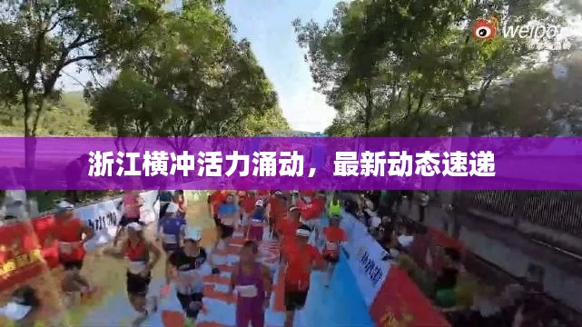 浙江横冲活力涌动，最新动态速递