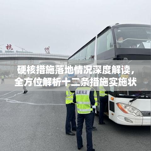 硬核措施落地情况深度解读，全方位解析十二条措施实施状况