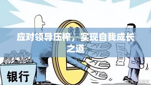 应对领导压榨，实现自我成长之道