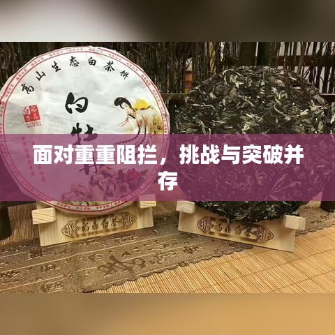 面对重重阻拦，挑战与突破并存