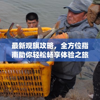 最新观旗攻略，全方位指南助你轻松畅享体验之旅