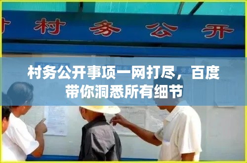 村务公开事项一网打尽，百度带你洞悉所有细节