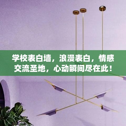 学校表白墙，浪漫表白，情感交流圣地，心动瞬间尽在此！