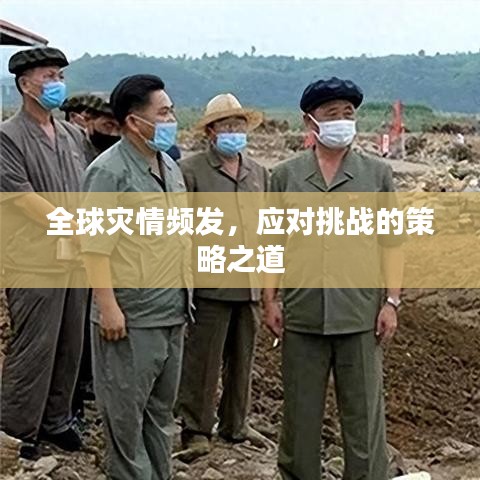 全球灾情频发，应对挑战的策略之道