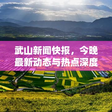 武山新闻快报，今晚最新动态与热点深度解析