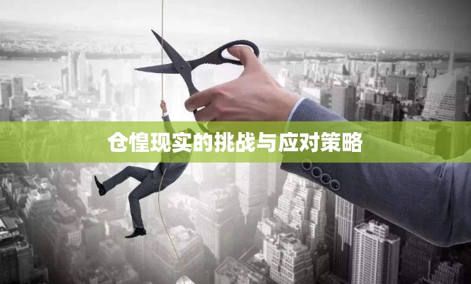 仓惶现实的挑战与应对策略