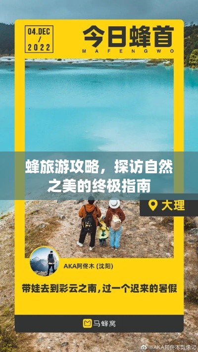 蜂旅游攻略，探访自然之美的终极指南