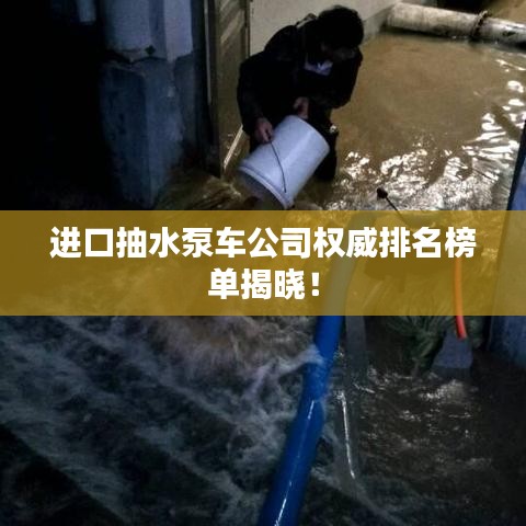 进口抽水泵车公司权威排名榜单揭晓！