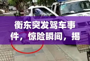 衡东突发驾车事件，惊险瞬间，揭秘真相！