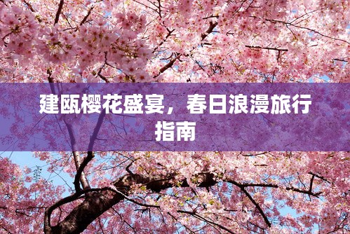 建瓯樱花盛宴，春日浪漫旅行指南