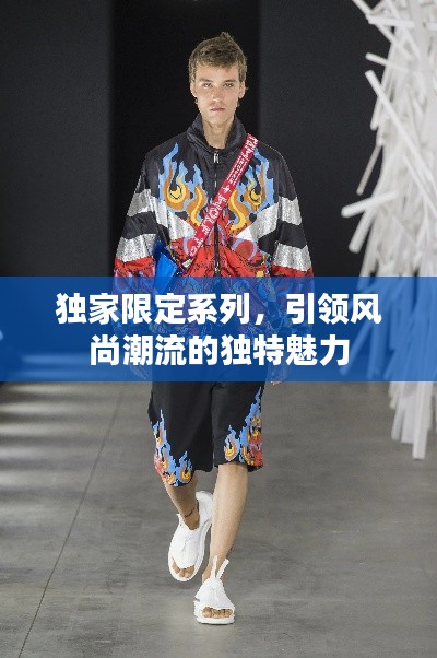 独家限定系列，引领风尚潮流的独特魅力