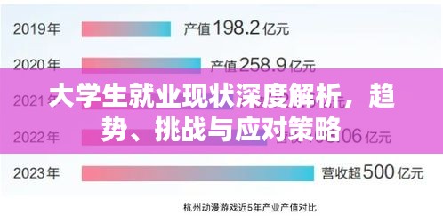 大学生就业现状深度解析，趋势、挑战与应对策略