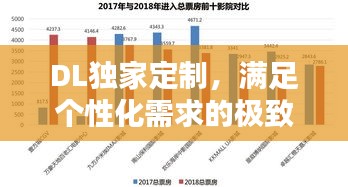 DL独家定制，满足个性化需求的极致体验