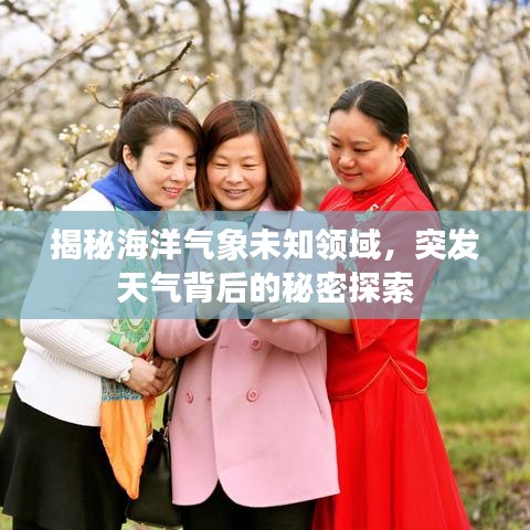 揭秘海洋气象未知领域，突发天气背后的秘密探索