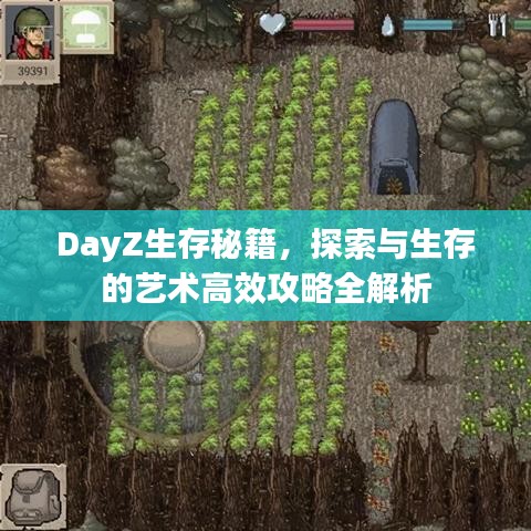DayZ生存秘籍，探索与生存的艺术高效攻略全解析