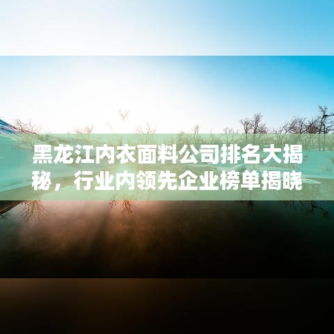 黑龙江内衣面料公司排名大揭秘，行业内领先企业榜单揭晓！