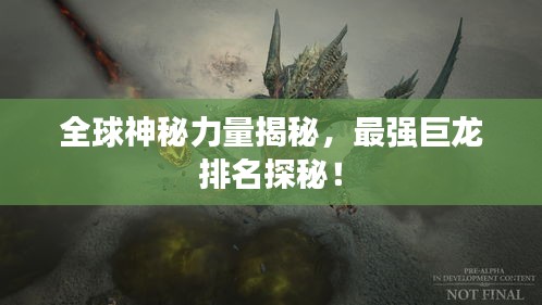 全球神秘力量揭秘，最强巨龙排名探秘！