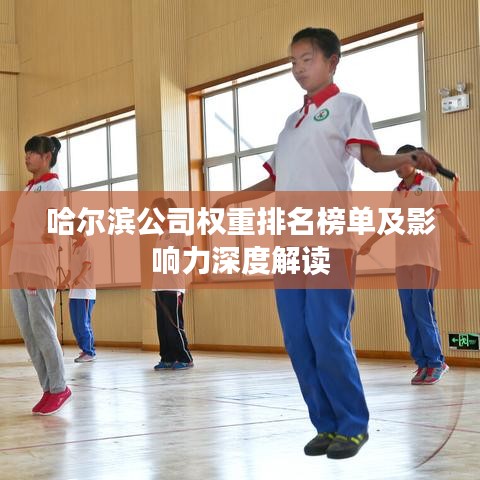 哈尔滨公司权重排名榜单及影响力深度解读
